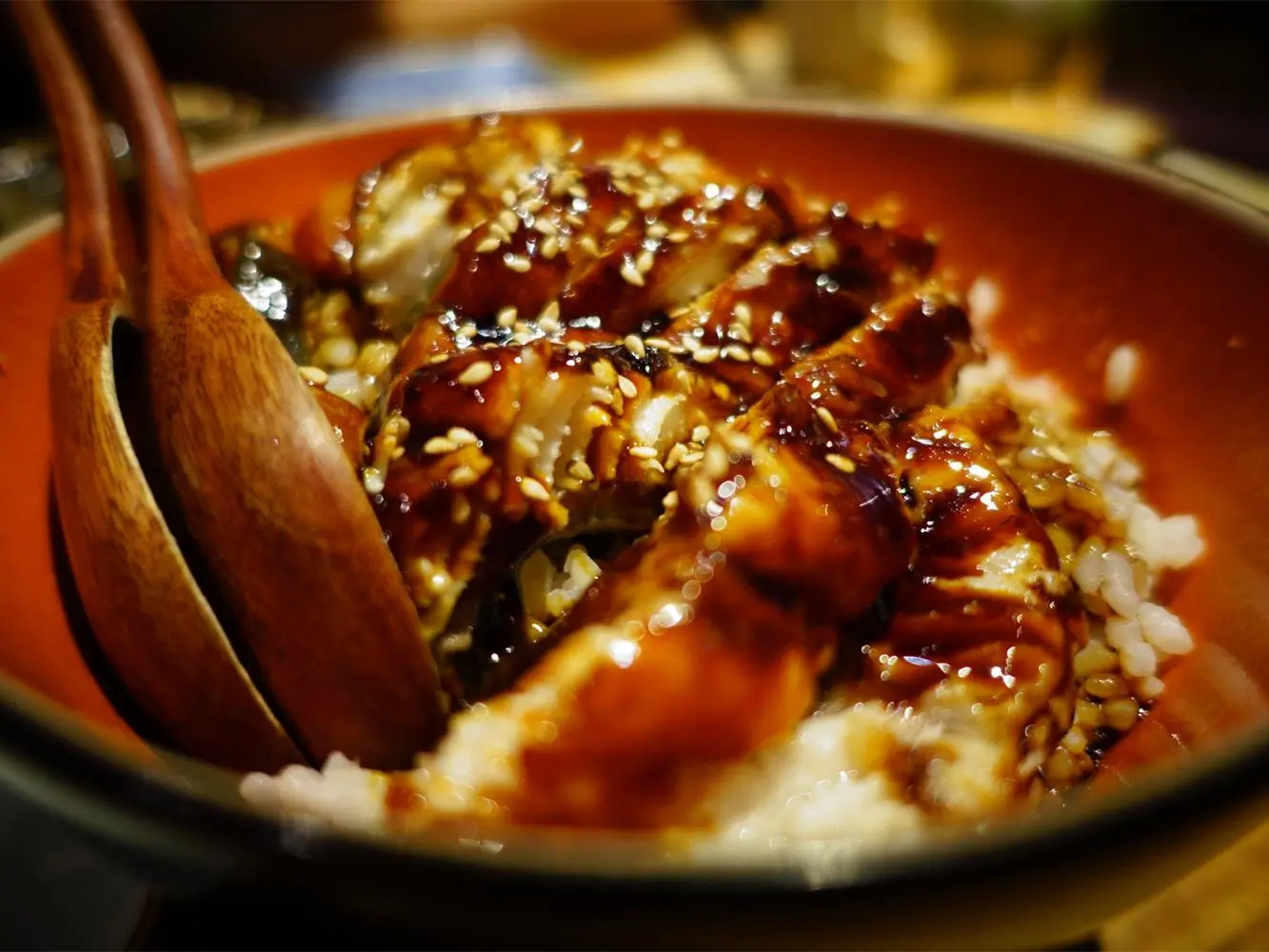 Grilled eel with teriyaki sauce over rice at Thai House Bistro, an Asian Fusion Restaurant in Wayne
